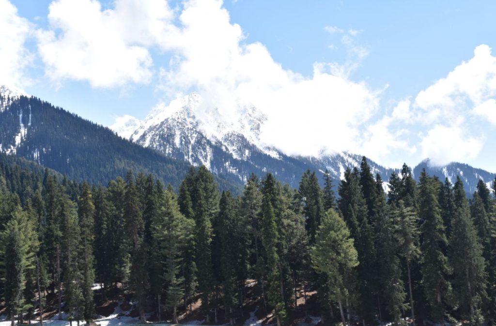 Kashmir Diaries- Pahalgam