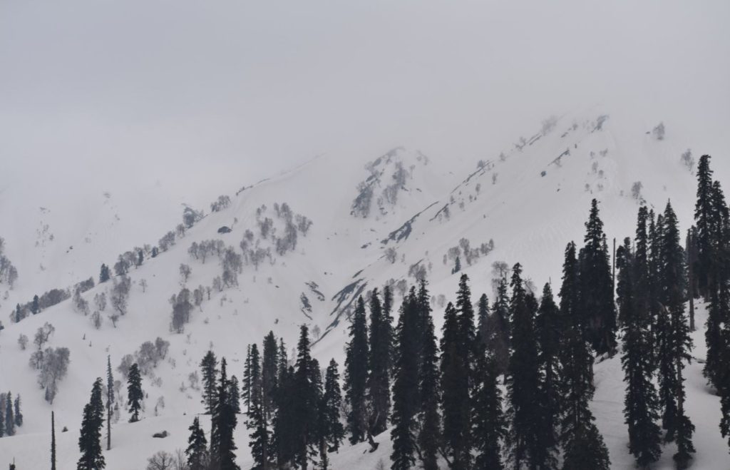 Kashmir Diaries – Gulmarg